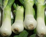 onion-spring-onion-green-spring-761950.jpg