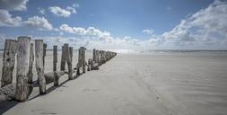 Driftwood_and_Stones_Dividing_an_Ocean_Beach.jpg