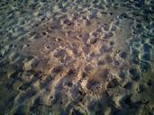 sand-beach-treads-footprints-1114311.jpg