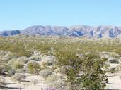 arizona-desert-usa-landscape-986435.jpg