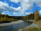 fraser-river-river-canada-1650626.jpg