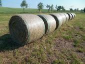 straw-straw-bales-round-bales-832497.jpg