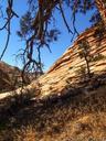 zion-national-park-utah-usa-rock-190011.jpg