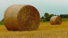 straw-bales-straw-harvest-food-272568.jpg