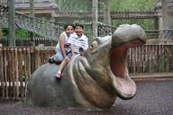 hippo-animal-zoo-hippopotamus-281482.jpg