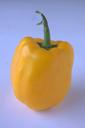 pepper-yellow-capsicum-bell-pepper-390426.jpg