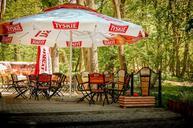 restaurant-garden-beer-tyskie-296225.jpg