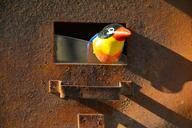 rust-letterbox-bird-old-letter-1309434.jpg