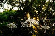 umbrellas-light-chain-decoration-984149.jpg