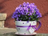 flowerpot-cup-flowers-purple-1455049.jpg