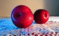 still-life-still-life-arrangement-112029.jpg