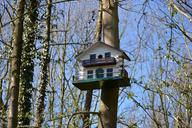 bird-box-birdhouse-forest-trees-1305333.jpg