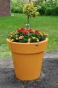 flowerpot-spring-pentecost-deco-794456.jpg