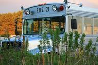 bus-school-bus-vehicle-415762.jpg