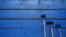 paint-blue-wall-lackluster-roller-1262591.jpg