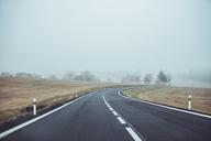 road-travel-drive-asphalt-journey-1208298.jpg