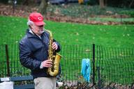 grass-man-centralpark-nature-music-1155256.jpg