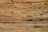 texture-wood-grain-grain-wood-1479676.jpg