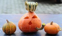 pumpkin-halloween-pumpkin-ghost-506850.jpg