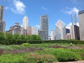 chicago-garden-urban-skyscrapers-170129.jpg