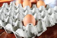 egg-food-cooking-organic-health-636947.jpg