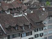 roofs-tile-roof-old-town-historic-905452.jpg