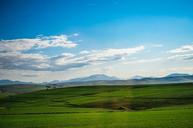 pasture-fields-landscapes-grass-503019.jpg