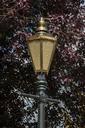 street-light-old-street-light-city-1164092.jpg