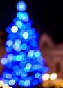 bokeh-christmas-decoration-316460.jpg