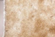 sheep-s-wool-sheep-wool-felt-533745.jpg