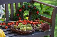 thanksgiving-autumn-decoration-474222.jpg