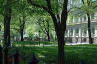 nyc-city-hall-park-building-trees-525677.jpg