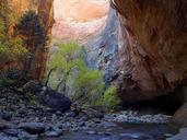 zion-narrows-national-park-canyon-546284.jpg