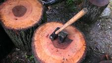 wood-hammer-job-working-lumber-746642.jpg