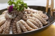 seafood-octopus-squid-to-be-gourmet-1504082.jpg