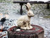 hare-clay-ceramics-white-clay-840651.jpg