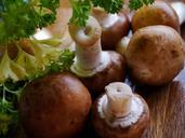 mushroom-fungus-fungi-vegetable-498631.jpg