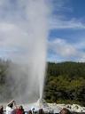 geyser-new-zealand-steam-park-271886.jpg