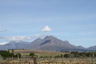 vineyards-vineyard-mountains-winery-102219.jpg