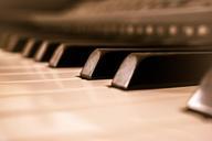 piano-keys-piano-keys-1099352.jpg