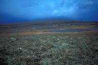 Lake Becharof tundra and Blue mountain.jpg