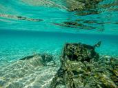 underwater-airplane-wreck-undersea-1274025.jpg