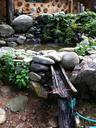 pond-flower-gardens-hanok-605243.jpg