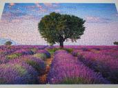 puzzle-solved-finish-592806.jpg