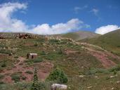 Weminuche Wilderness mine shack 2010.jpg