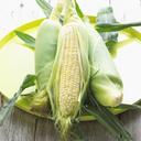 corn-maize-vegetable-plant-food-356110.jpg