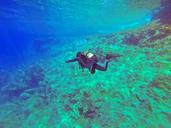 scuba-diver-scuba-diver-padi-water-1049945.jpg