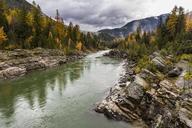 Middle_Fork_of_the_Flathead_From_the_Belton_Bridge.jpg