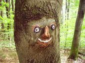 wood-sculpture-carving-face-art-96880.jpg