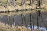 mirror-reflection-landscape-trees-914266.jpg